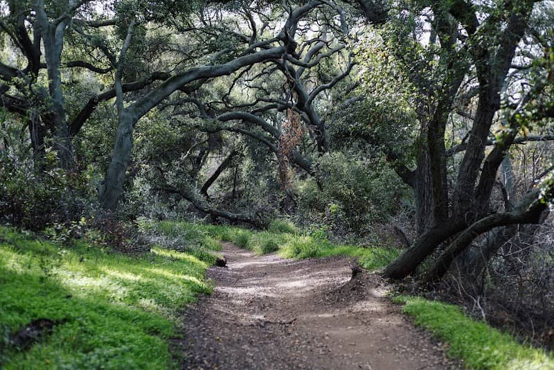Marshall Canyon Trail - Image 2