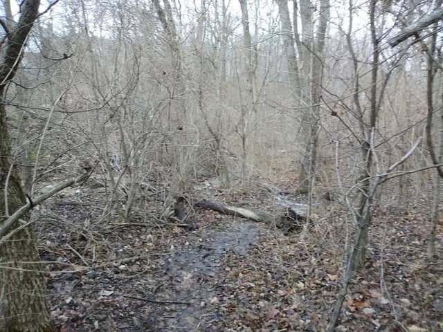 Fox Run Park - Image 1