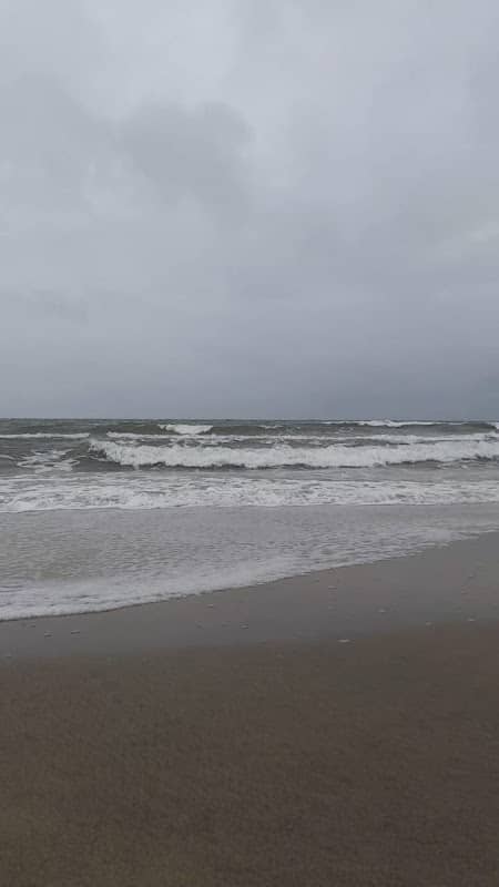 Misty beach - Image 1