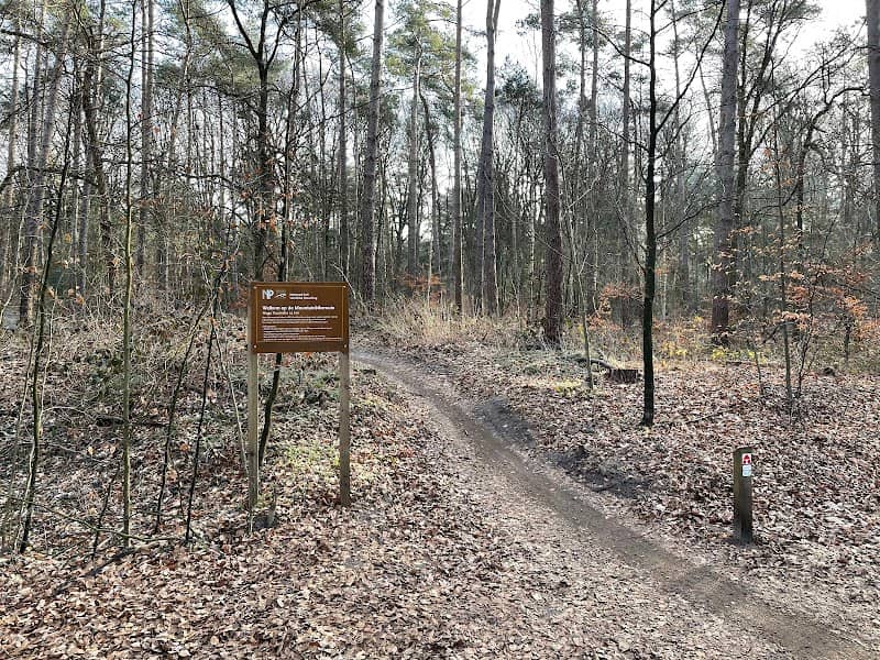 MTB trail - Image 1