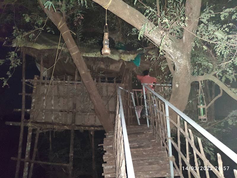 TREE HOUSE ️ - Image 1