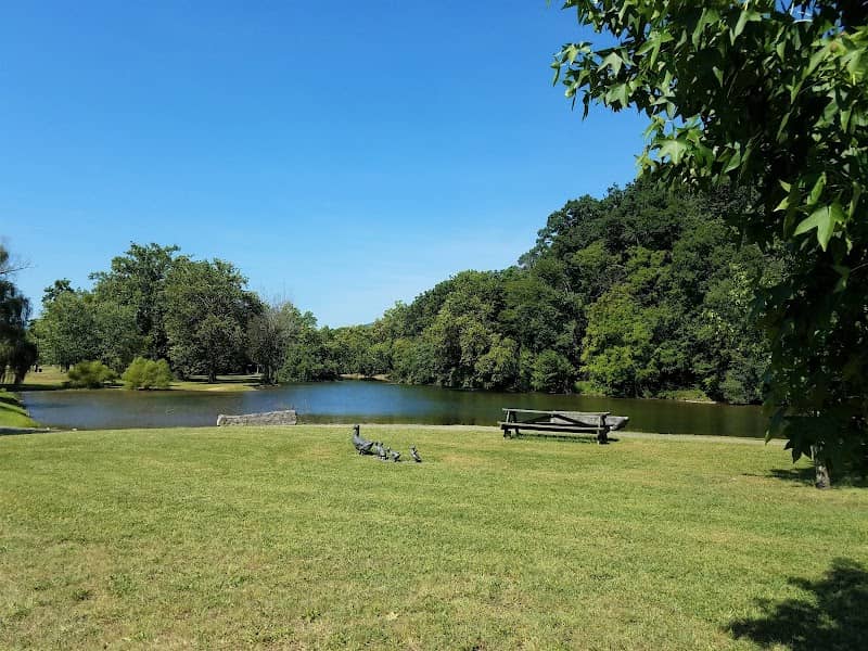 Narrows Duck Pond and Mill Dam - Image 1