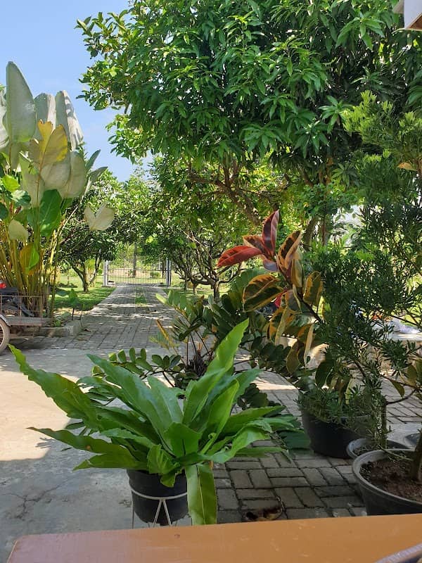 MIKAYLA & HAZEL GARDEN - Image 1