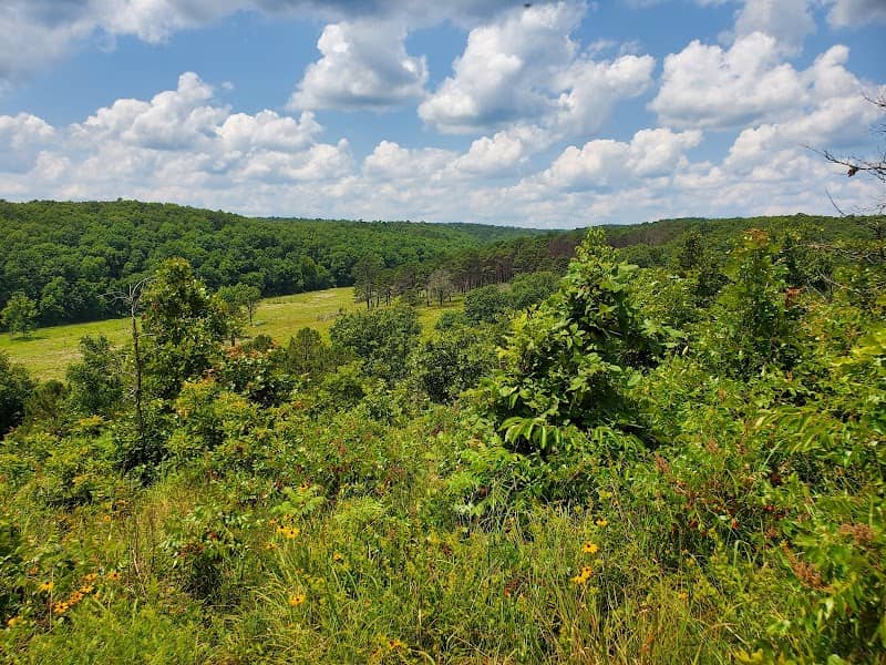 J T Nickel Family Nature And Wildlife Preserve - Image 3