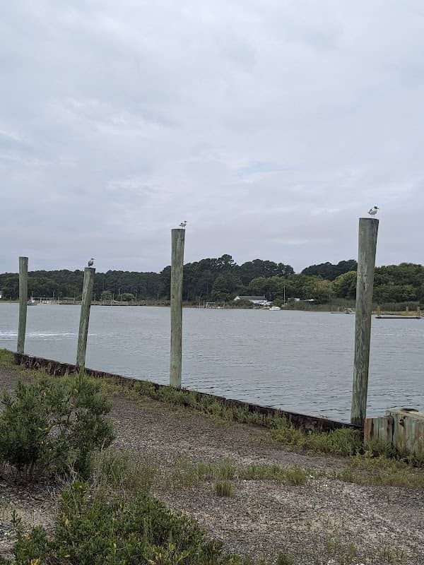 Oyster Village Horse Island Trail - Image 3