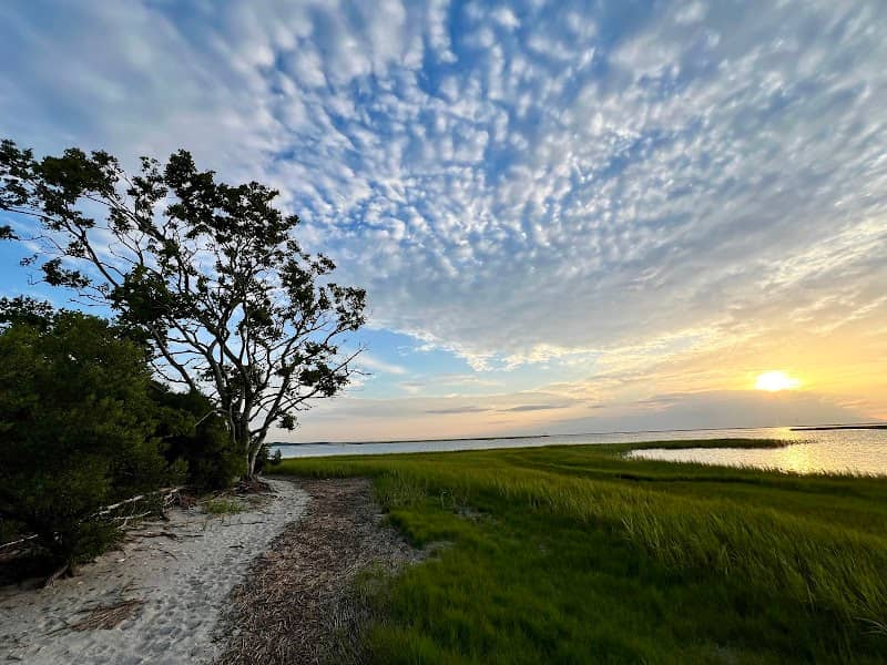 Oyster Village Horse Island Trail - Image 1