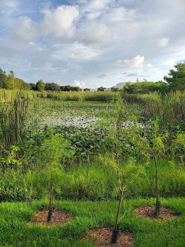 Eagle Park - Image 1