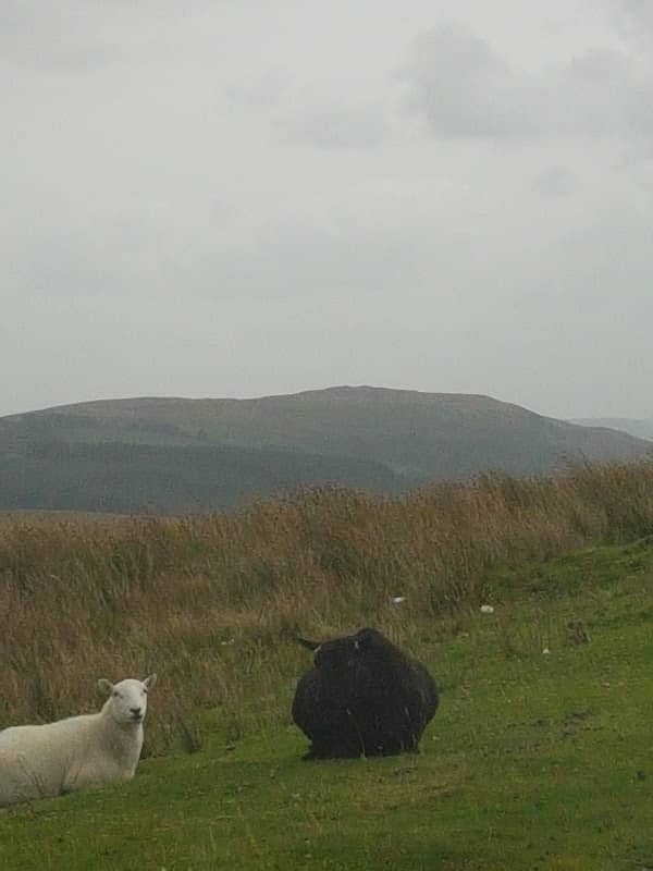 Cae Glas Park - Image 1