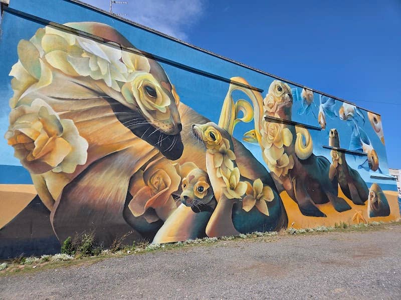 Street art in WSM - Seals - Image 1