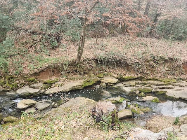 Butterfly Trail - Image 1