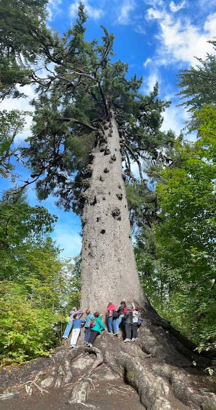 Big Spruce Trailhead - Image 1
