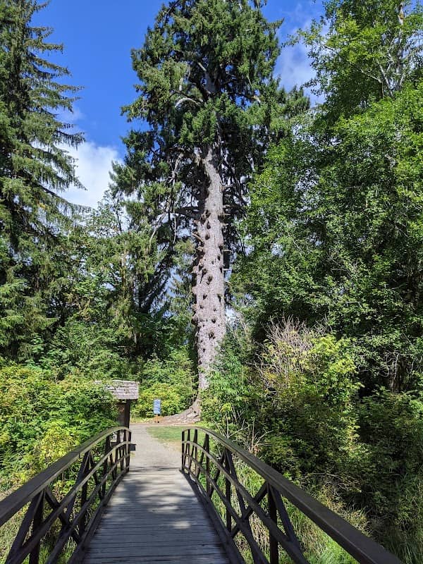 Big Spruce Trailhead - Image 2
