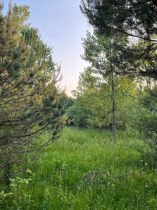 Saugatuck Wilds Nature Preserve - Image 2