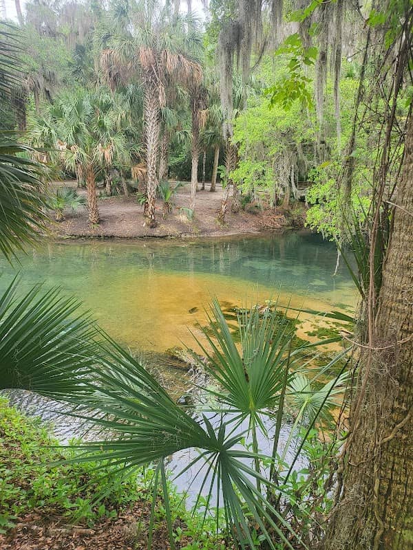 Gemini Springs Park - Image 2