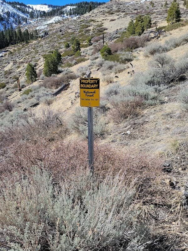 US National Forest property boundary marker - Image 1