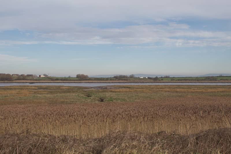 Stanah Estuary / ICI - Image 1