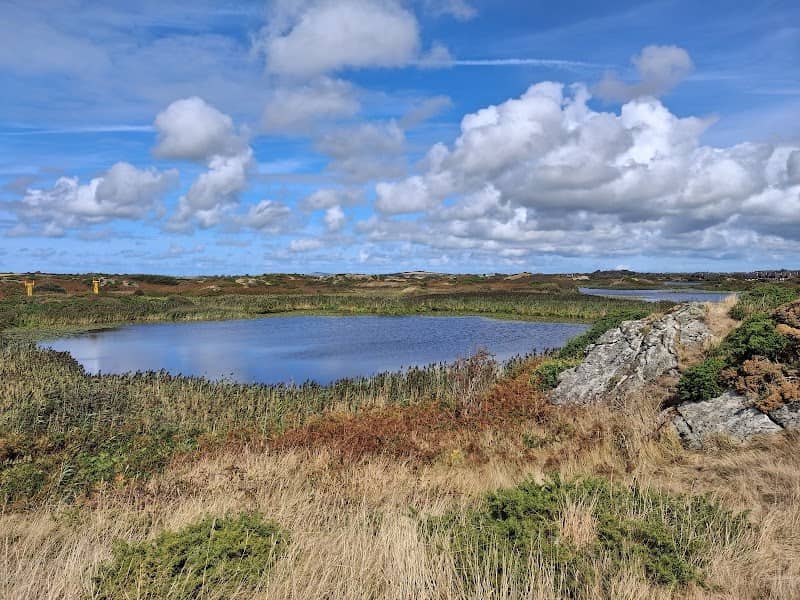 RSPB Valley Wetlands - Image 1