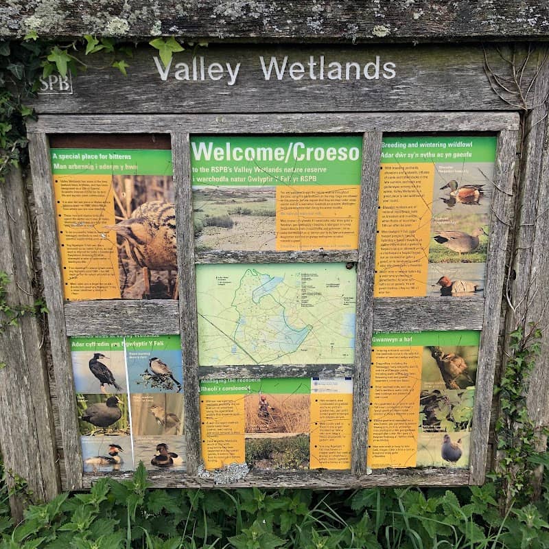 RSPB Valley Wetlands - Image 2