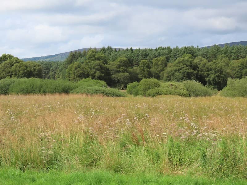 Loch of Leys - Image 1