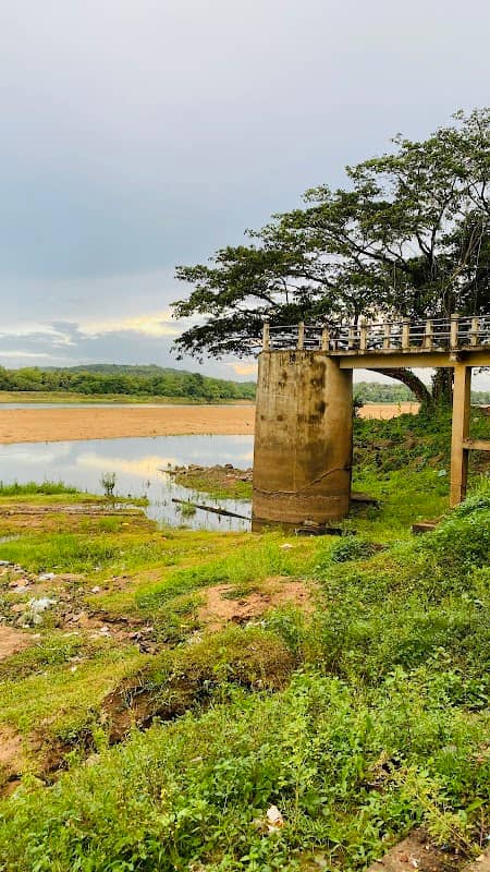 Kankapuzha kadavu - Image 2