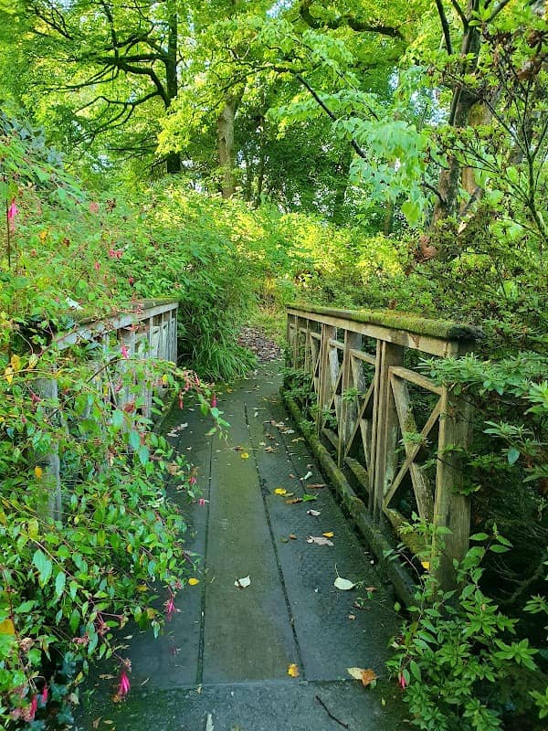 Friends Bridge - Image 1
