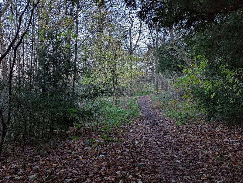 Concord Park - Image 2