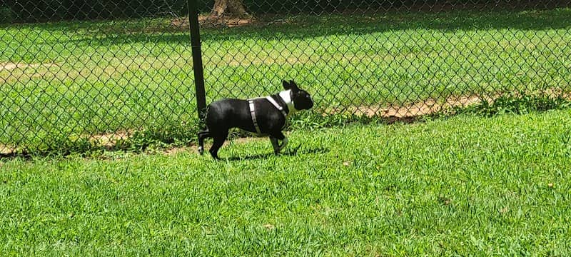 Tyger Run Dog Park - Image 1