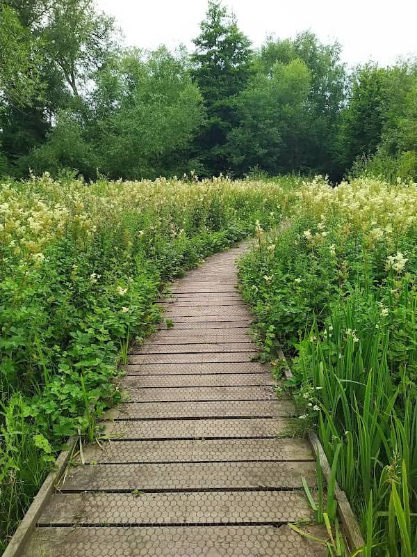Blacke Marsh and White Wickets Nature Reserve - Image 1