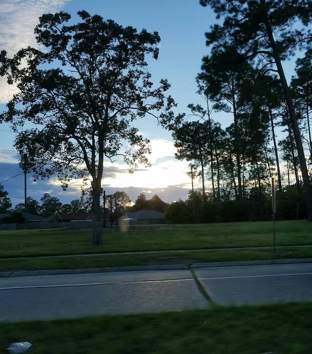 Rue Rochelle Park - Image 1