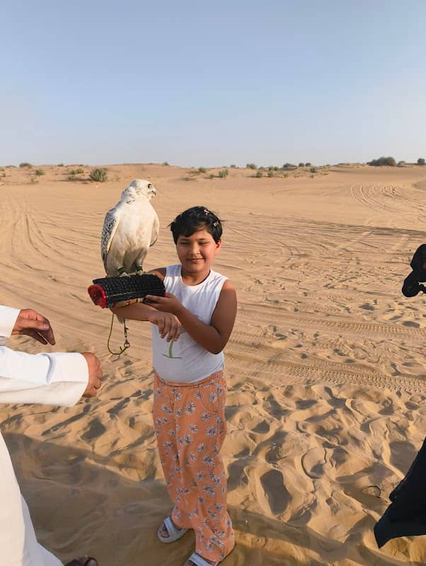 Dessert safari - Image 1