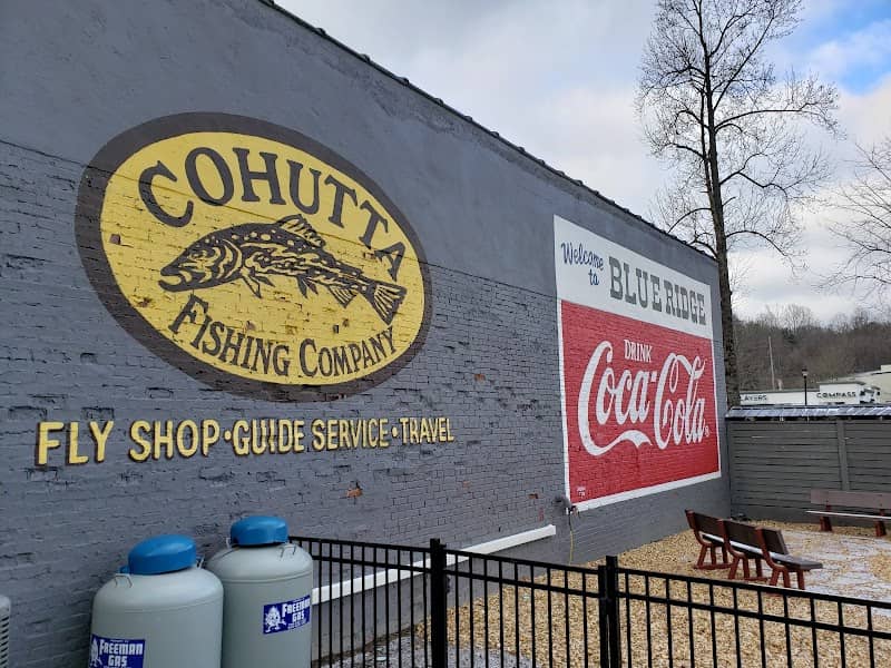 Blue Ridge Drink Coca-Cola Mural - Image 1
