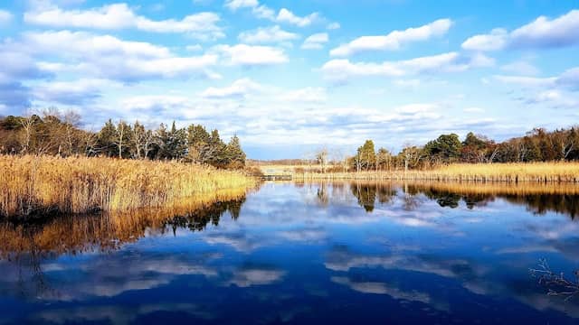 Forsythe Wildlife Refuge Visitor Information Center - Image 2