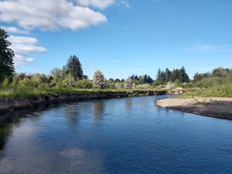 Pioneer Park - Image 2