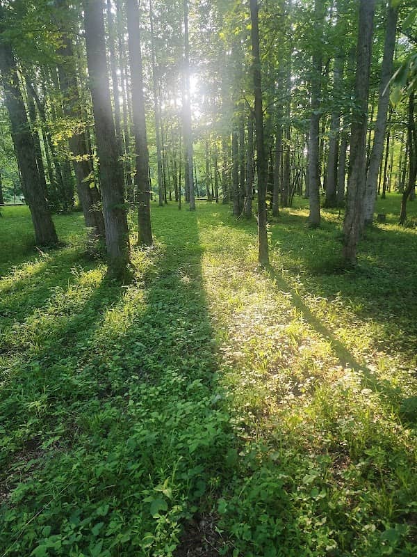 Cherokee Walking Trail - Image 1