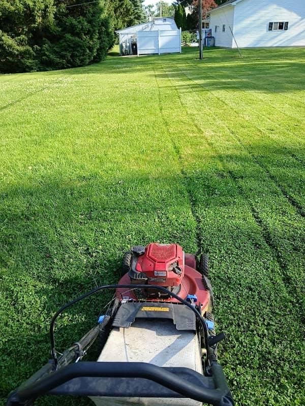 Homestead Fields - Image 1