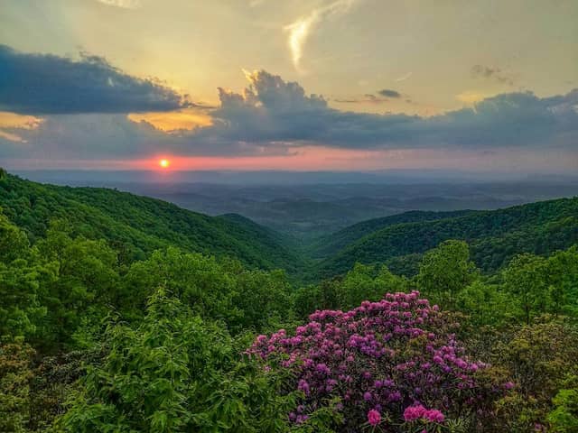Iron Mine Hollow Overlook - Image 2