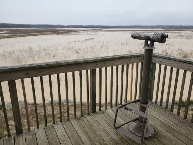 Coldwater River National Wildlife Refuge Observation Tower - Image 2