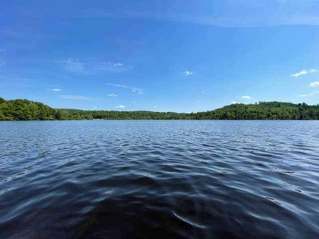 The Woods at Long Pond - Image 2