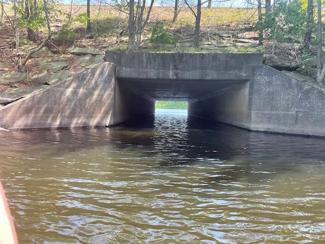 The Woods at Long Pond - Image 1