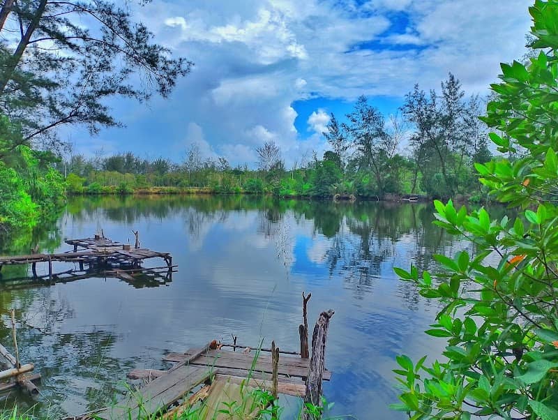 Kulong Tiram - Image 1