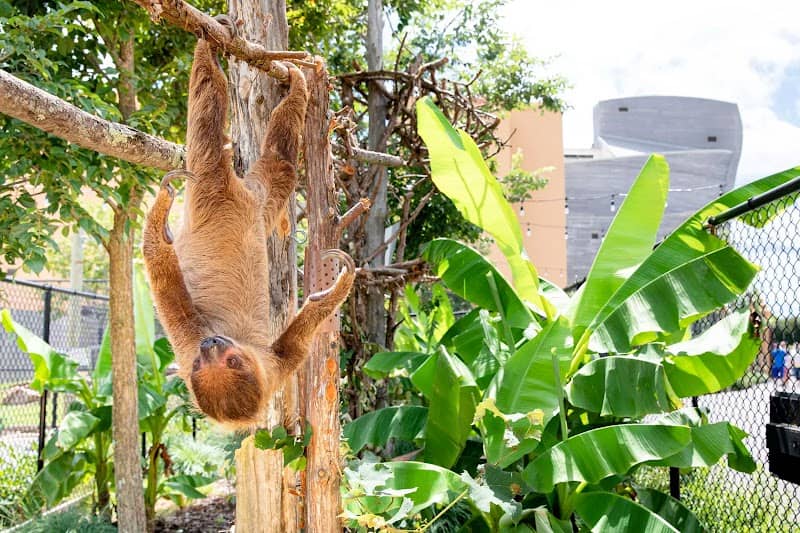 Ararat Ridge Zoo - Image 2