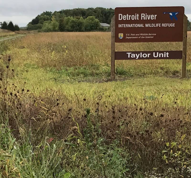 Detroit River International Wildlife Refuge Taylor Unit - Image 2