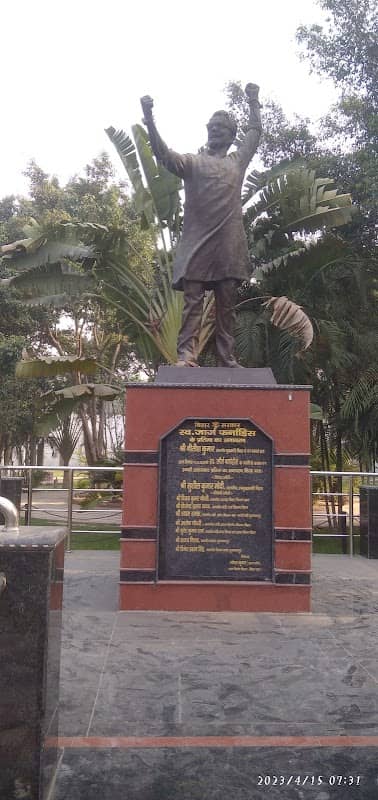 City park - Image 1