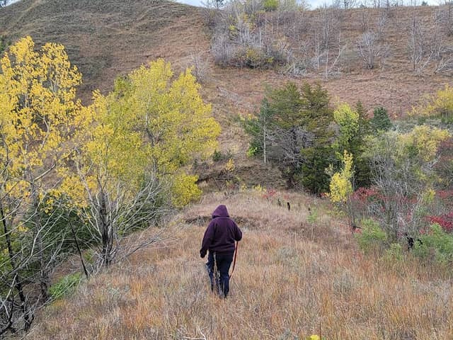 Turin Preserve - Image 2