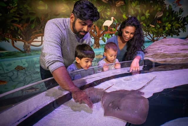 Aquarium of Niagara - Image 1