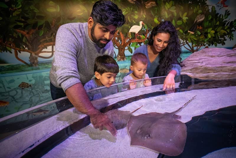 Aquarium of Niagara - Image 1