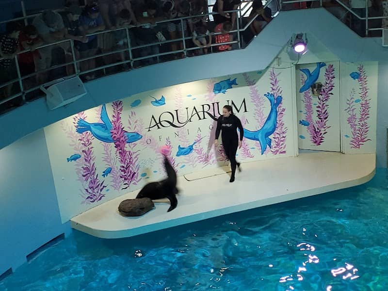 Aquarium of Niagara - Image 2