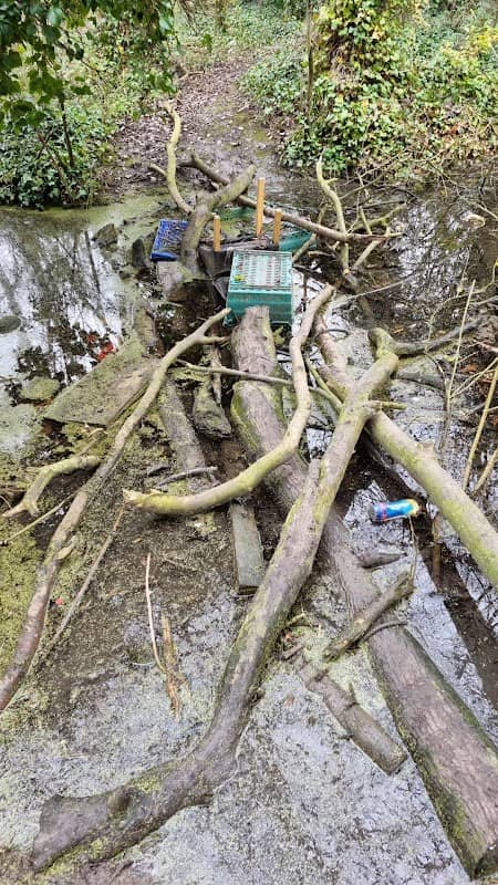 Minster Woods - Image 1