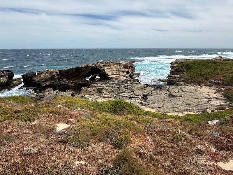 Rottnest Island - Image 3