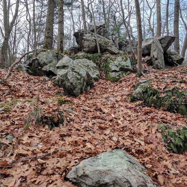 Sally Milligan Park - Image 2